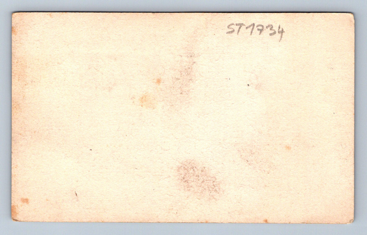 Pohlednice Lev Tolstoj (ST1734/1)