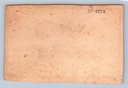Pohlednice PRAHA (ST1827)