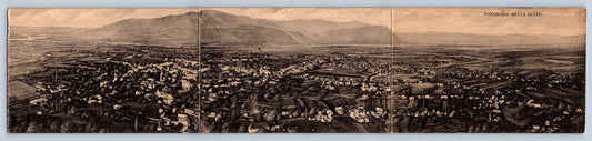 Pohlednice PANORAMA MĚSTA HUSTU (ST1891)
