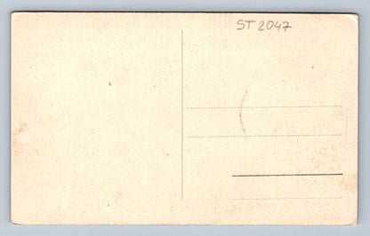 Pohlednice HRAD BUCHLOV (ST2047)