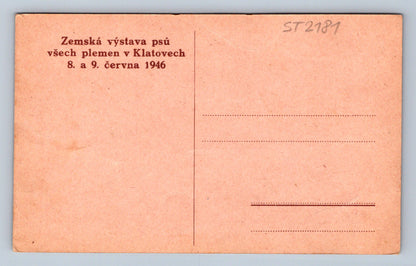 Pohlednice KLATOVY (ST2181)