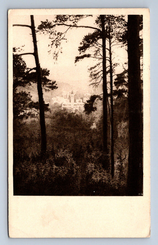 Pohlednice OBER EICHWALD (ST2323)
