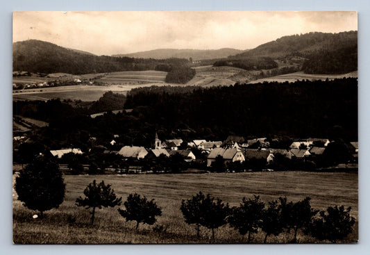Pohlednice NEZABUDICE (ST2350)