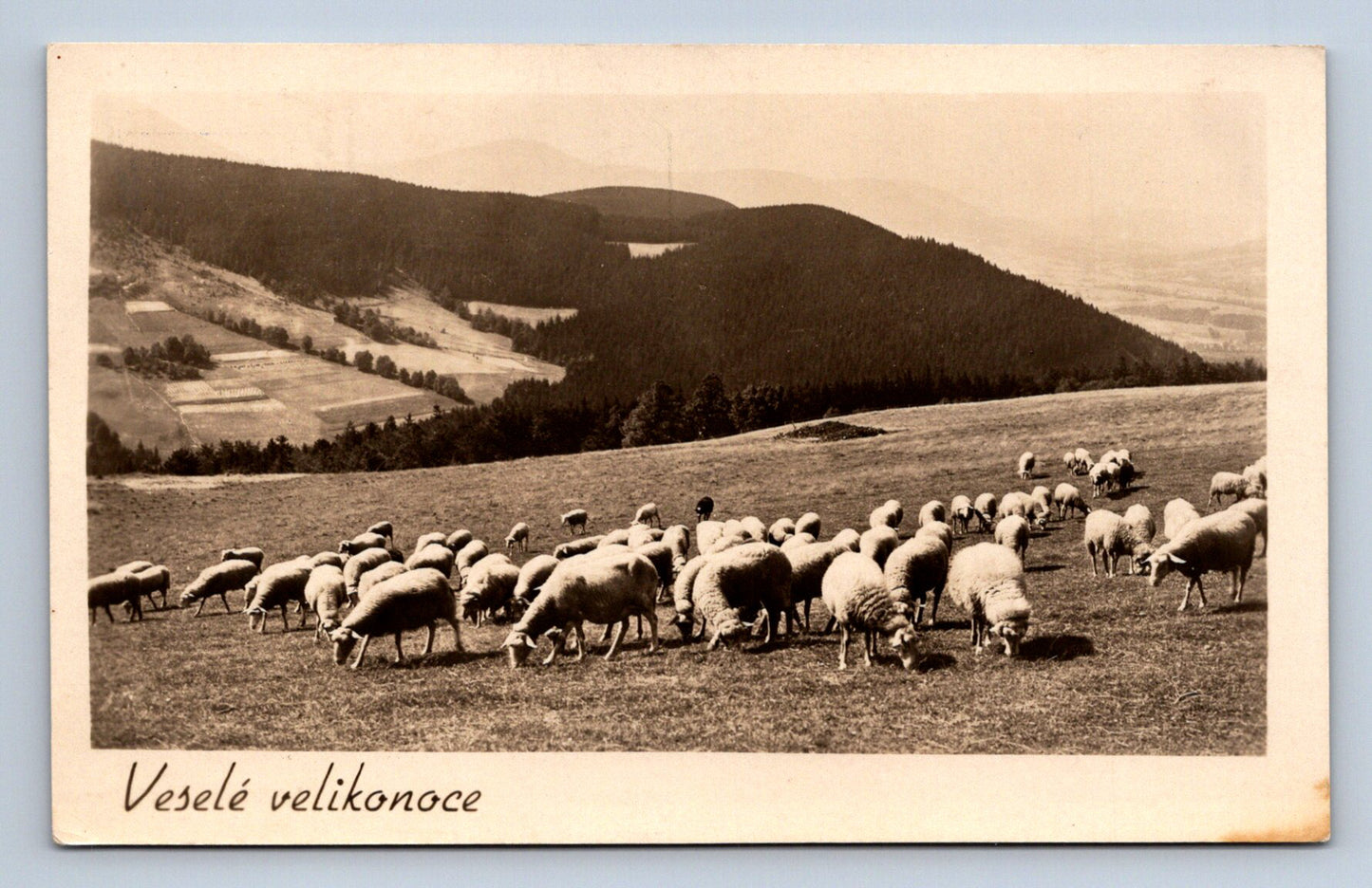 Pohlednice VESELÉ VELIKONOCE (ST2454)