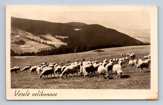 Pohlednice VESELÉ VELIKONOCE (ST2454)