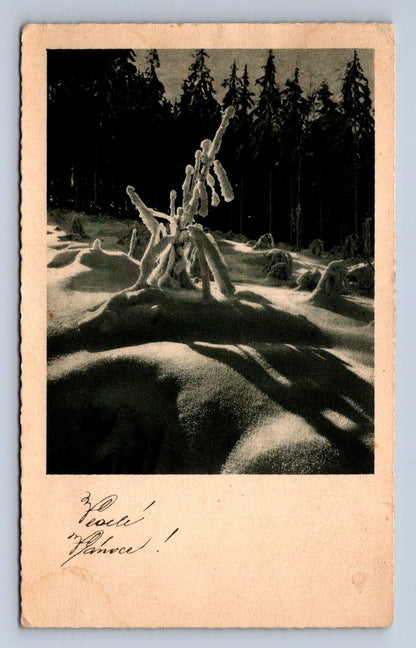 Pohlednice VESELÉ VÁNOCE (ST2463)