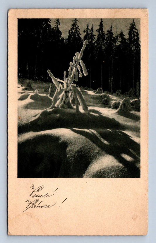 Pohlednice VESELÉ VÁNOCE (ST2463)