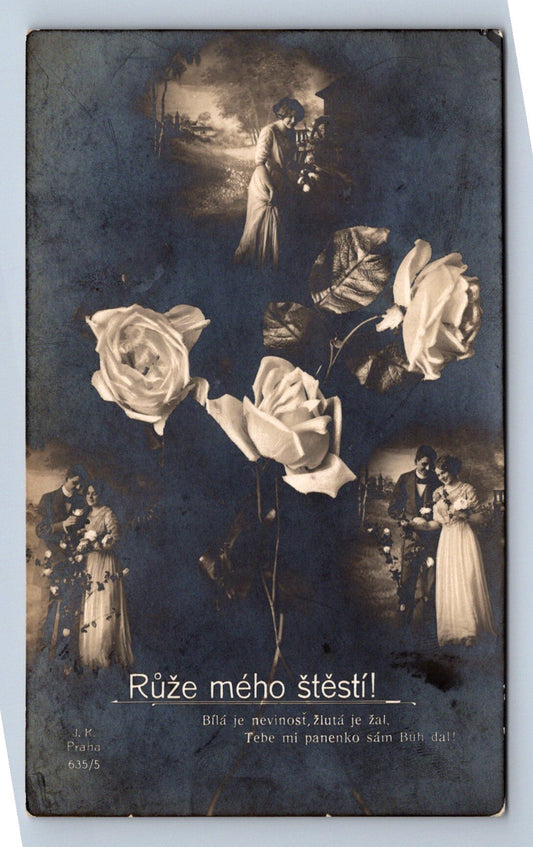 Pohlednice RŮŽE MÉHO ŠTĚSTÍ (ST2519)