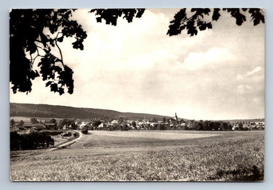 Pohlednice MLÁZOVICE - V POZADÍ CHLUMY (ST449)
