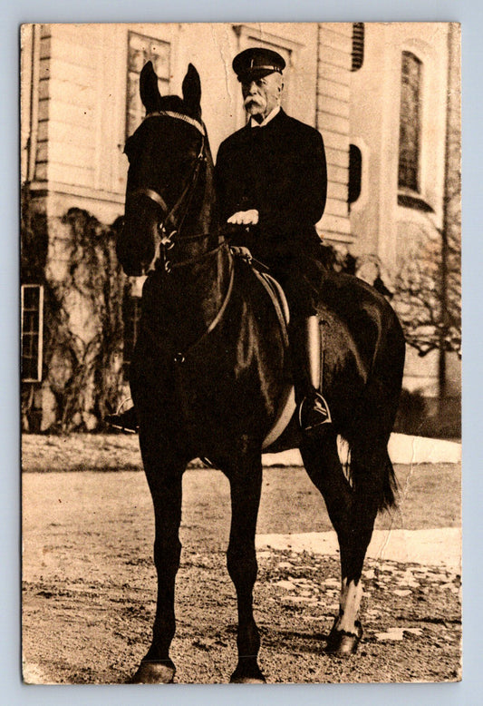 Pohlednice T.G.MASARYK PRESIDENT OSVOBODITEL (ST586)