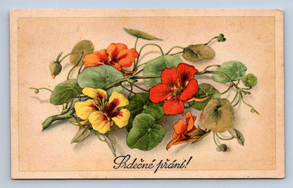 Pohlednice SRDEČNÉ PŘÁNÍ (ST686)