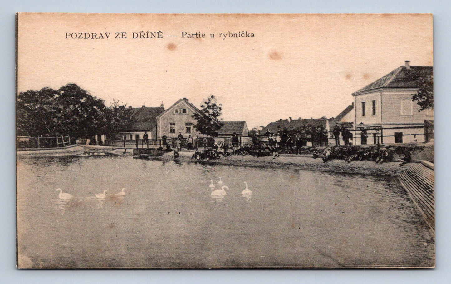 Pohlednice POZDRAV ZE DŘÍNĚ - PARTIE U RYBNÍČKA (ST851)