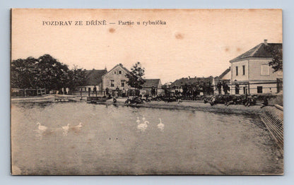 Pohlednice POZDRAV ZE DŘÍNĚ - PARTIE U RYBNÍČKA (ST851)
