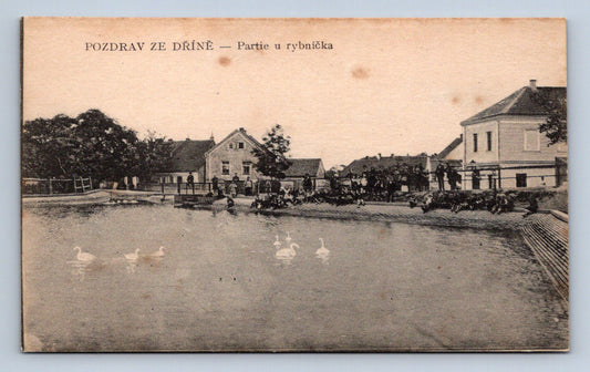 Pohlednice POZDRAV ZE DŘÍNĚ - PARTIE U RYBNÍČKA (ST851)
