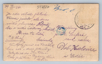 Pohlednice DVORAČKY S VLČÍM HŘEBENEM (ST2827)
