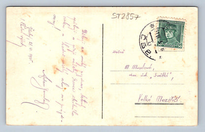 Pohlednice ŽLEBY ZÁMEK (ST2857)