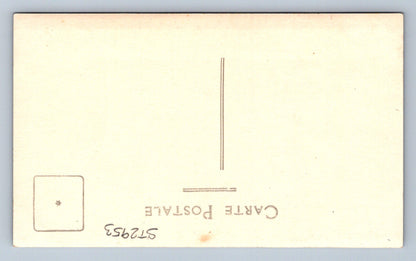 Pohlednice DAMAS (ST2953)