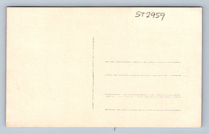 Pohlednice DAMAS (ST2959)