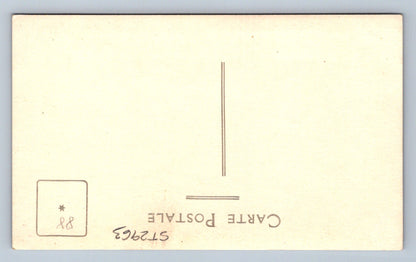 Pohlednice STŘEDNÍ VÝCHOD (ST2963)