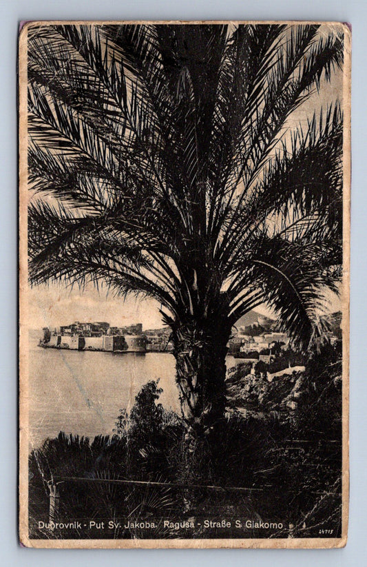 Pohlednice DUBROVNIK (ST2988)