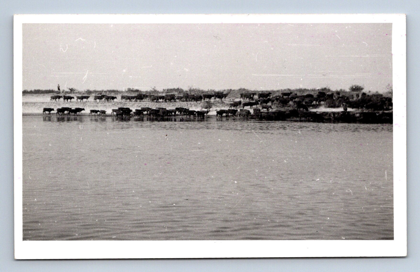 Pohlednice UKRAJINA (ST3010)