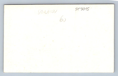 Pohlednice RUSKO (ST3015)