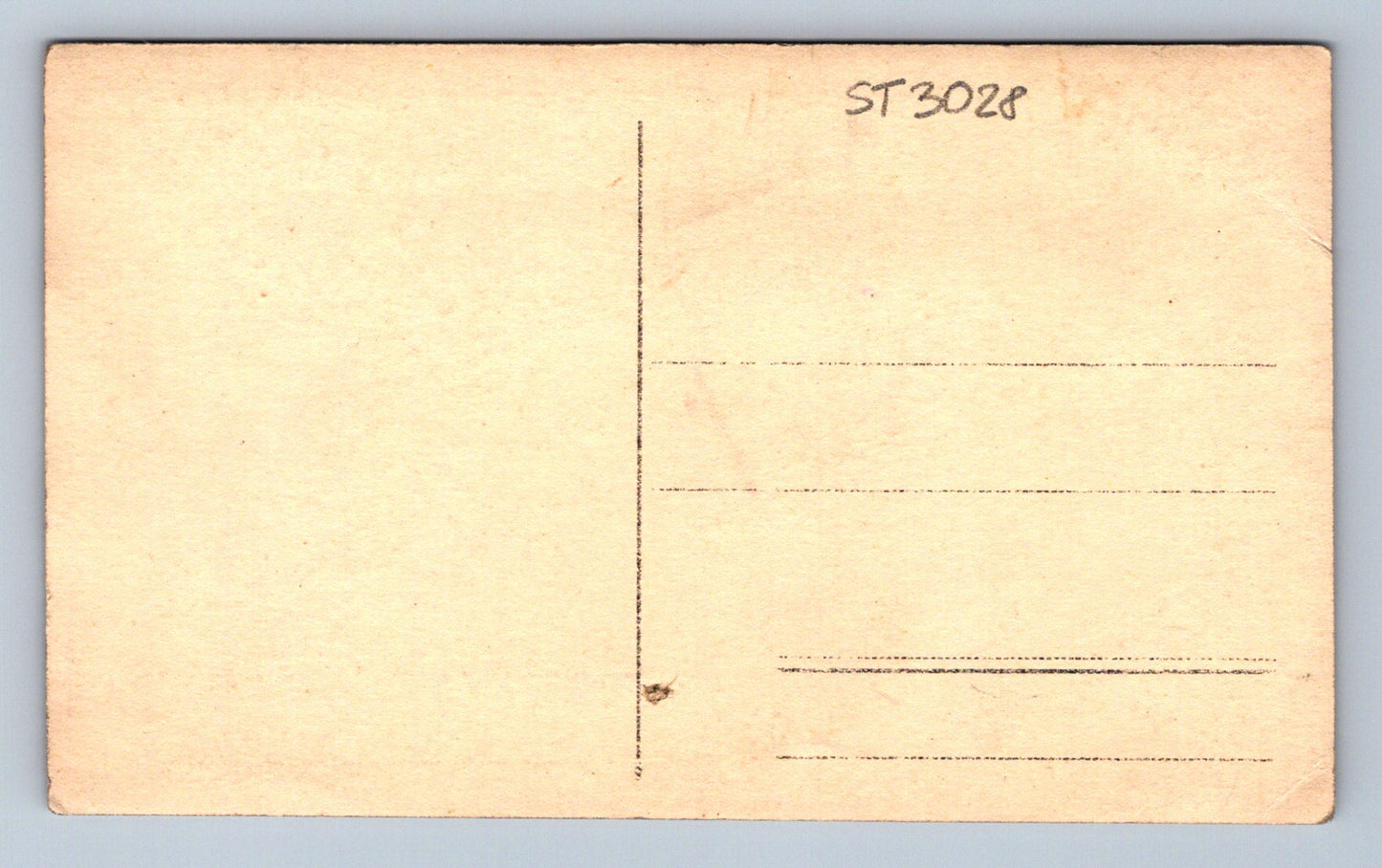 Pohlednice PANÍ V KLOBOUKU (ST3028)