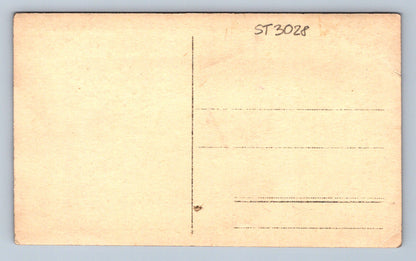 Pohlednice PANÍ V KLOBOUKU (ST3028)