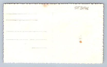 Pohlednice V PRÁCI (ST3046)