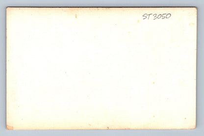 Pohlednice RODINA (ST3050)