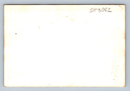Pohlednice PES (ST3062)