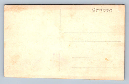 Pohlednice MYSLIVEC (ST3070)