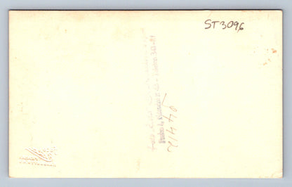 Pohlednice MATKA A SYN (ST3096)