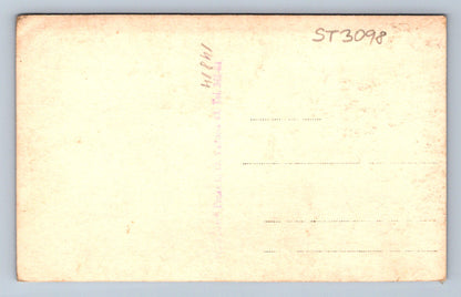 Pohlednice MATKA A SYN (ST3098)