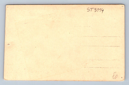 Pohlednice O. STALLICH (ST3114)