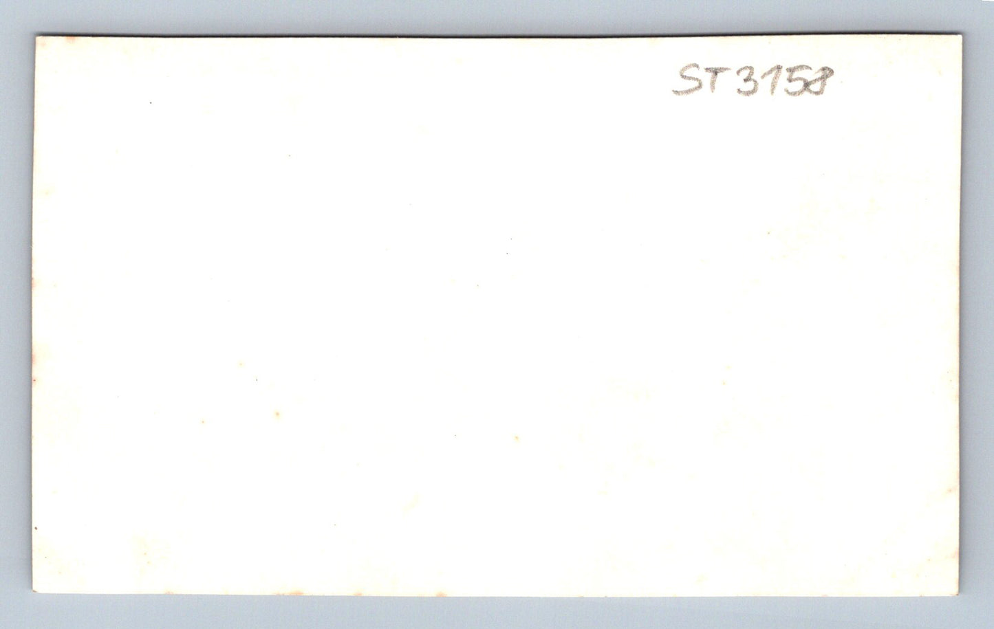 Pohlednice VESNICE (ST3158)