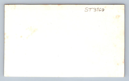 Pohlednice HORY (ST3160)