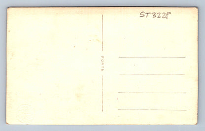 Pohlednice SVATBA - E-SYNEK MĚLNÍK (ST3228)