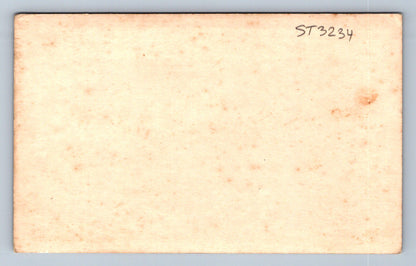 Pohlednice OTEC A SYN (ST3234)