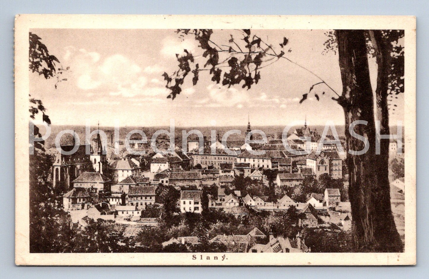 Postcard SALNY (ST5009)