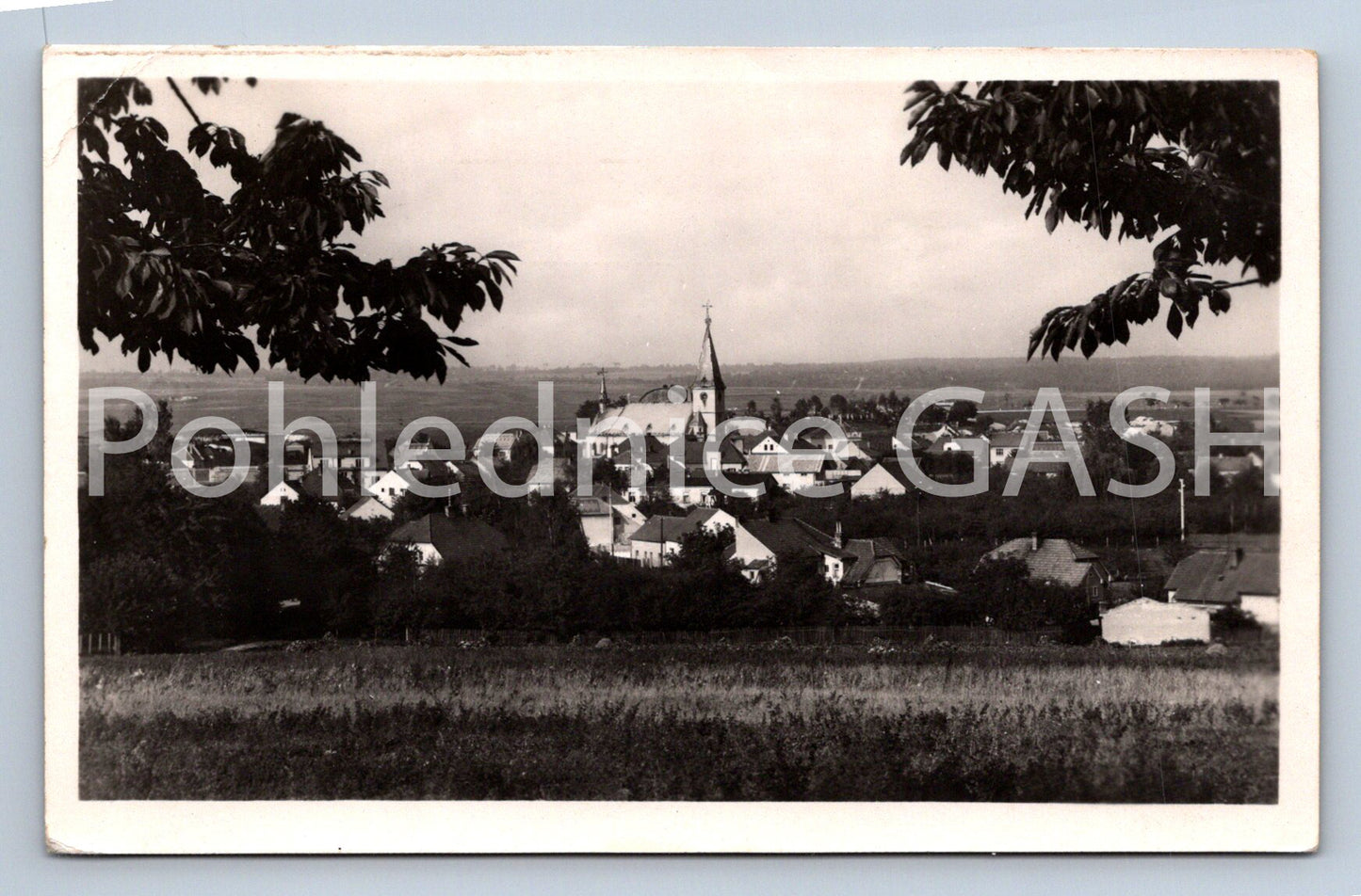 Postcard MILOVICE (ST5022)