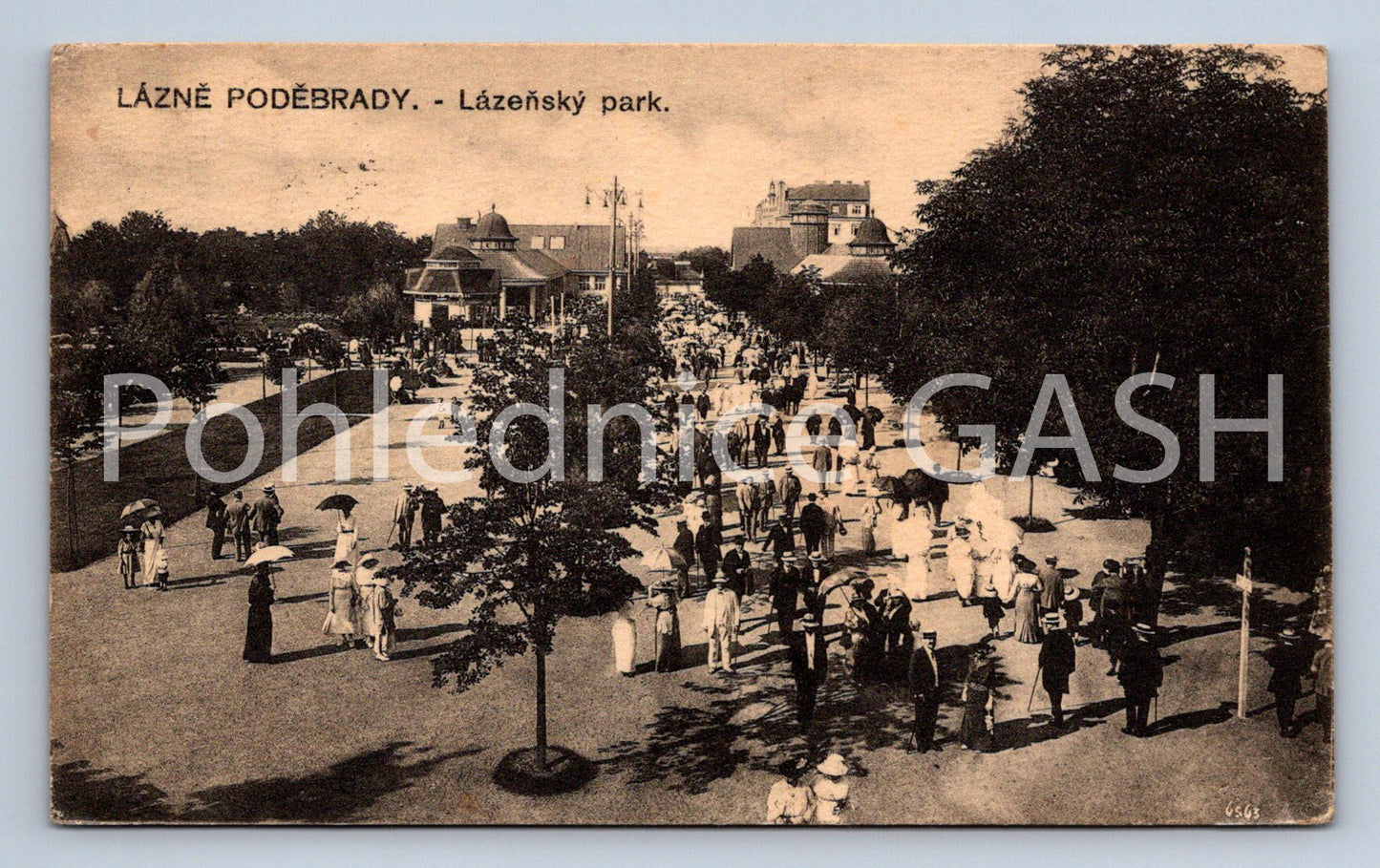 Postcard LÁZNĚ PODEBRADY (ST5024)