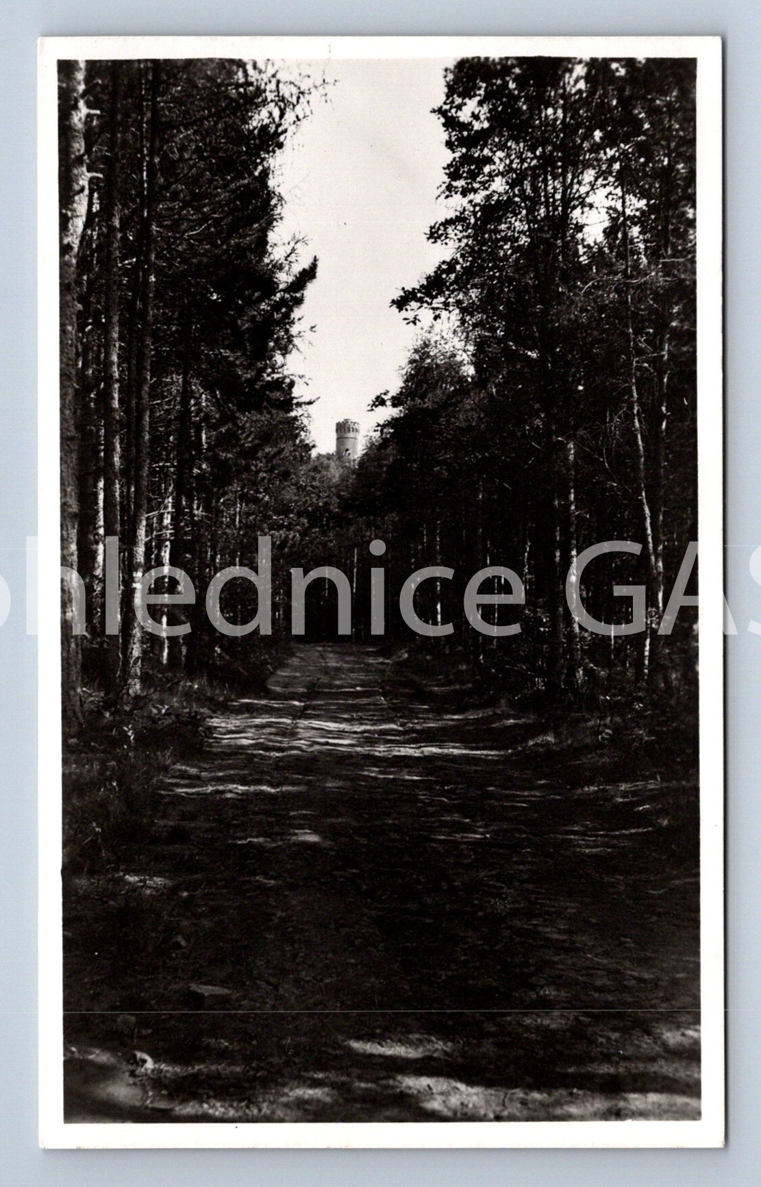 Postcard BEROUN (ST5027)