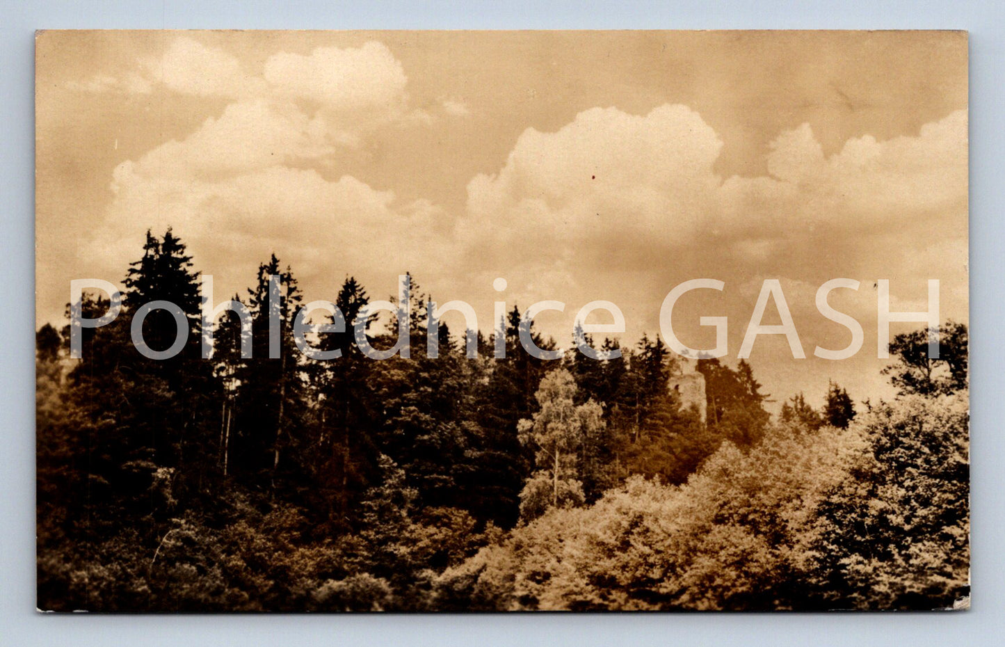 Postcard LOUZEK CASTLE RUINS (ST5125)