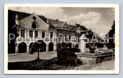 MARKET PIGS Postcard (ST5128)