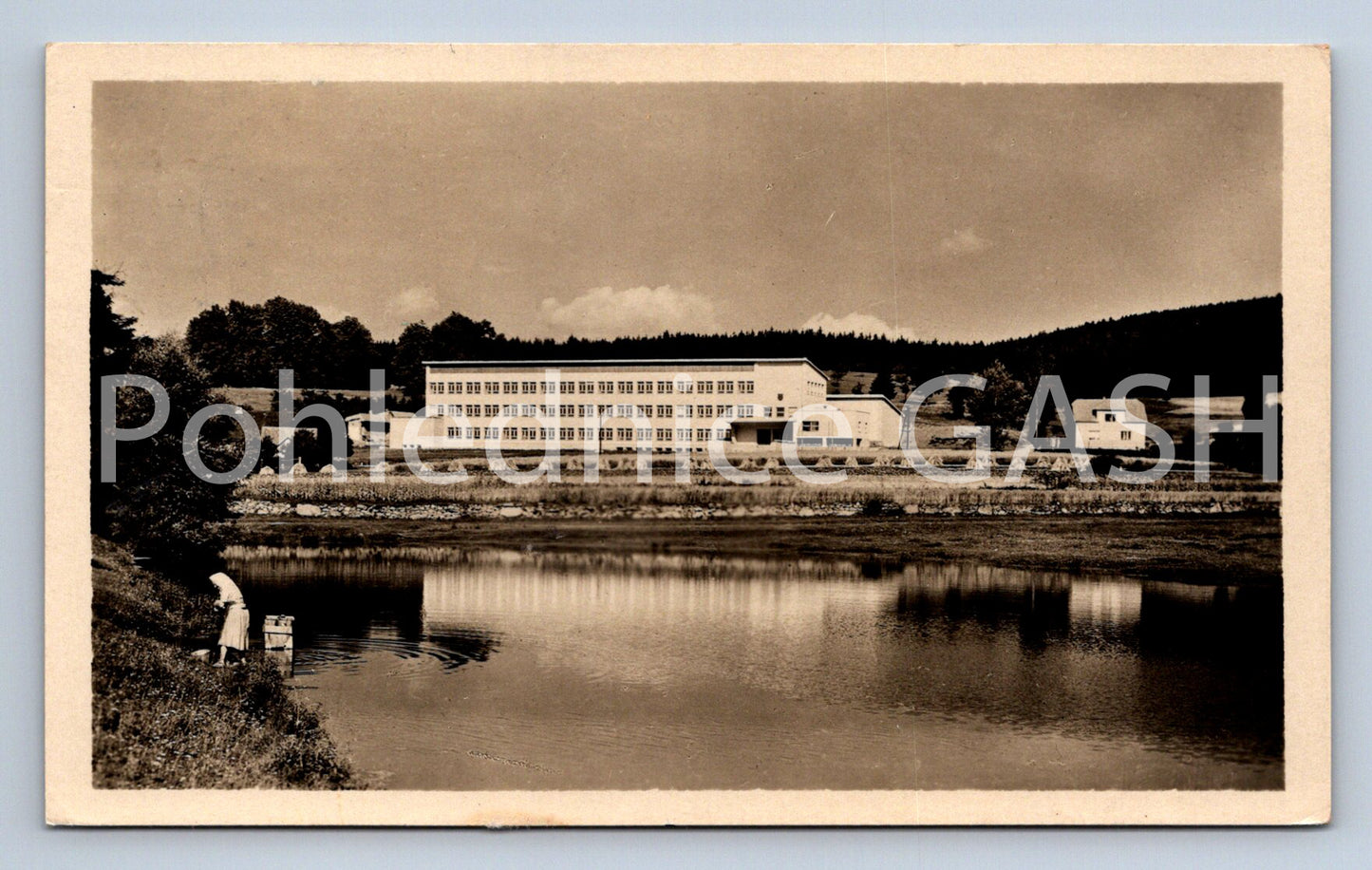 Postcard PUPPY (ST5146)