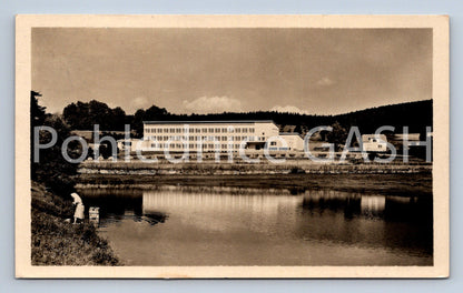 Postcard PUPPY (ST5146)