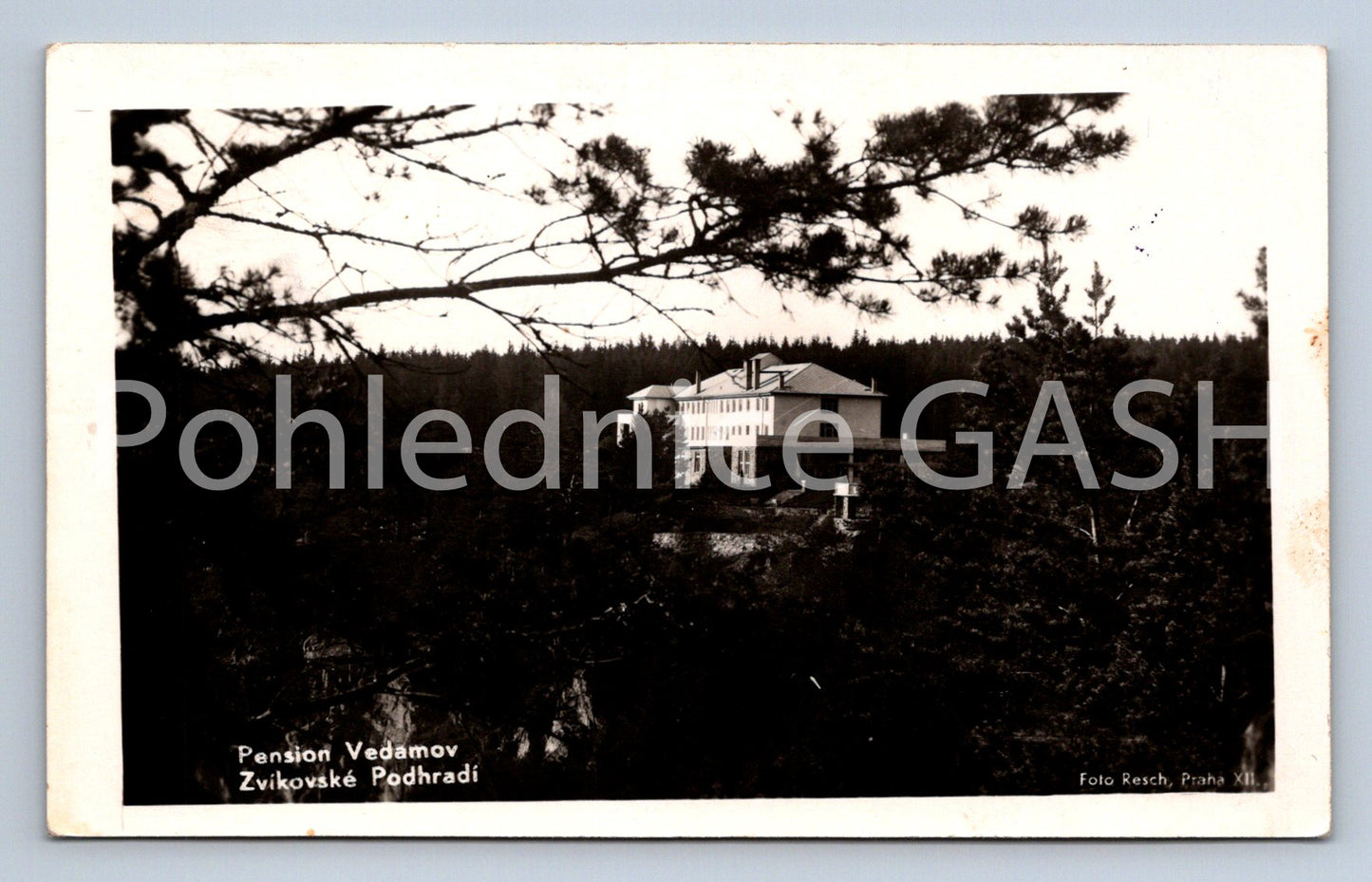 Postcard ZVÍKOVSKÉ PODHRADÍ (ST5153)