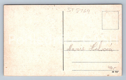 Postcard HLUBOKÁ CASTLE (ST5169)