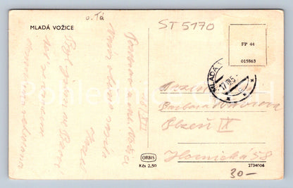 Postcard YOUNG CARRIER (ST5170)